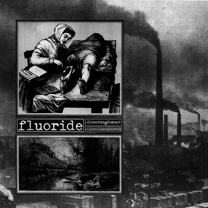 Fluoride - Disentanglement - LP (2019)